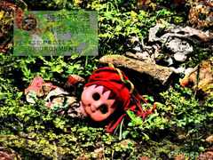 psymbatik_protectEnvironment