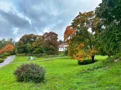 Harjattula-Paasikiviopisto-syksy2022-psymbatik