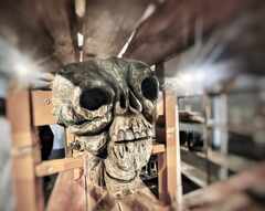 Kallo-syksy2022-psymbatik