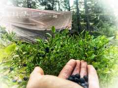 PsymBatik-Cycle-Mustikat