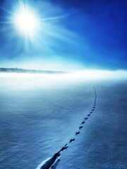 PsymBatik-TracksToLight-Frozen-Liekovesi-Vammala