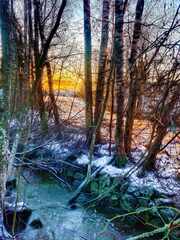 koivu-pusikko-koski-auringonlasku-varit