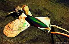 Psymbatik_Iceland_Luuotus