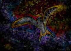 Psymbatik_Iceland_Tiira_symBatik