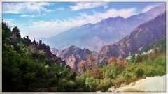 PsymBatik_India_Dharamsala