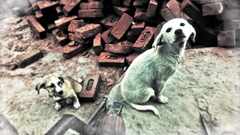 PsymBatik_India_ManaliDogs