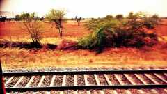 PsymBatik_India_Rajastan