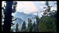 PsymBatik_India_TreesMountains