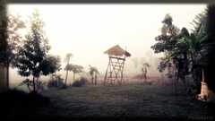 PsymBatik_Nepal_Bardia