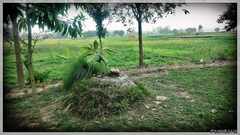 PsymBatik_Nepal_NatureGod