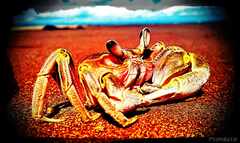 psymbatik_BatukarasGrab