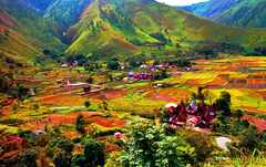 psymbatik_ParadiseValley