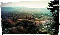 psymbatik_SumatraUsedToBeForest