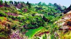 psymbatik_Toba_Valley