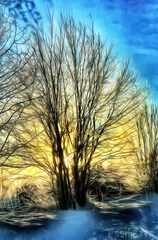 psymbatik_2_RisuAurinko