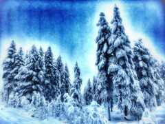 psymbatik_2_metsaDream