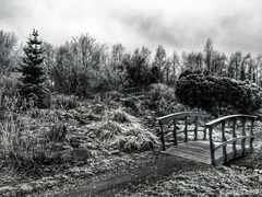 psymbatik_3_Arboretum