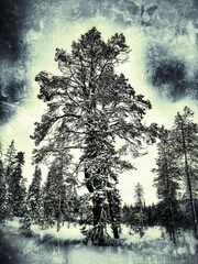 psymbatik_salla_SaveTrees