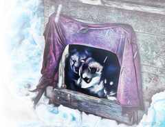 psymbatik_salla_pennut