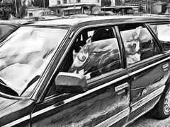 PsymBatik_KiiraRarissa