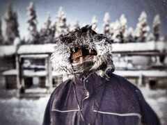 Harri-30km-koiraretken-jaljilta-30Cpakkasta