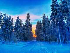 Tammikuun-auringonlasku-reitille