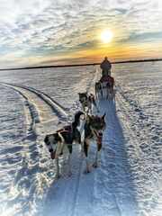 AurinkoValjakko-640w