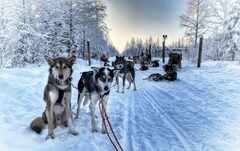 hARRY-Tina-ValjakkoParkissa-640w