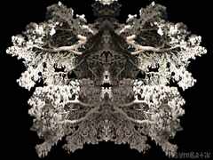 psymbatik_Saariselka_TreeKeuhkot