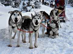 psymbatik_akaskero_GizmoTeam