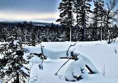 psymbatik_akaskero_Maisema