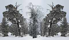 psymbatik_akaskero_ShamanTree