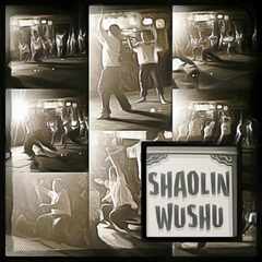 PsymBatik_Malaysia_ShaolinWushu