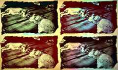 PsymBatik_Penang_mrPickels