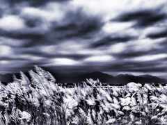 Winter-is-coming
