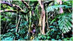 PsymBatik_LanyuJungle