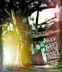 PsymBatik_TaipeiTree