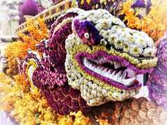 PsymBatik_ChiangMai_FlowerFest_Dragon