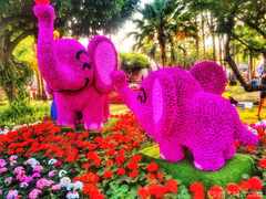 PsymBatik_ChiangMai_FlowerFest_FlowerElephants