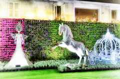 PsymBatik_ChiangRai_FlowerPrincess_Thailand_January