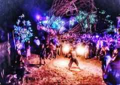 PsymBatik_Pai_JungleDisco