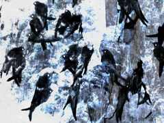 PsymBatik_Thailand_CaveBirds