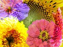 PsymBatik_Thailand_Flower