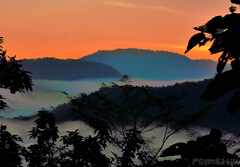 PsymBatik_Thailand_Landscape