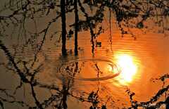 PsymBatik_Thailand_SunFireRing