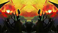 PsymBatik_Thailand_sunrise_Flower