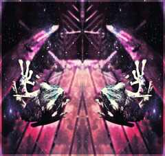 ReturnOfTheSpaceFrog